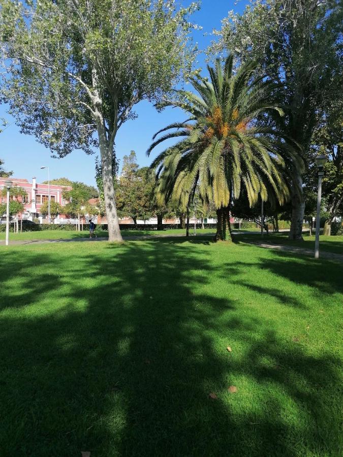 Lilac Homestay Setúbal Kültér fotó